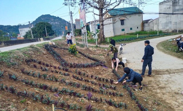 Công đoàn xã Vĩnh Quang trồng hoa đường mẫu mừng Đảng - mừng Xuân