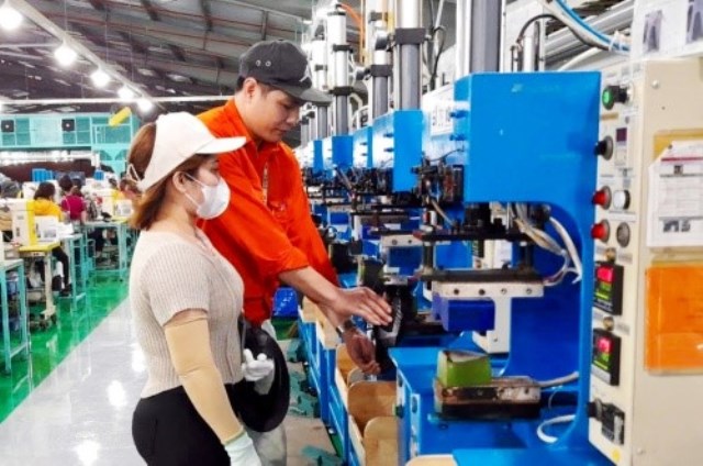 Anh Mai Anh Tuấn đam mê sáng tạo